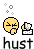 :hust