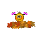 :laub