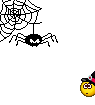 :spinne